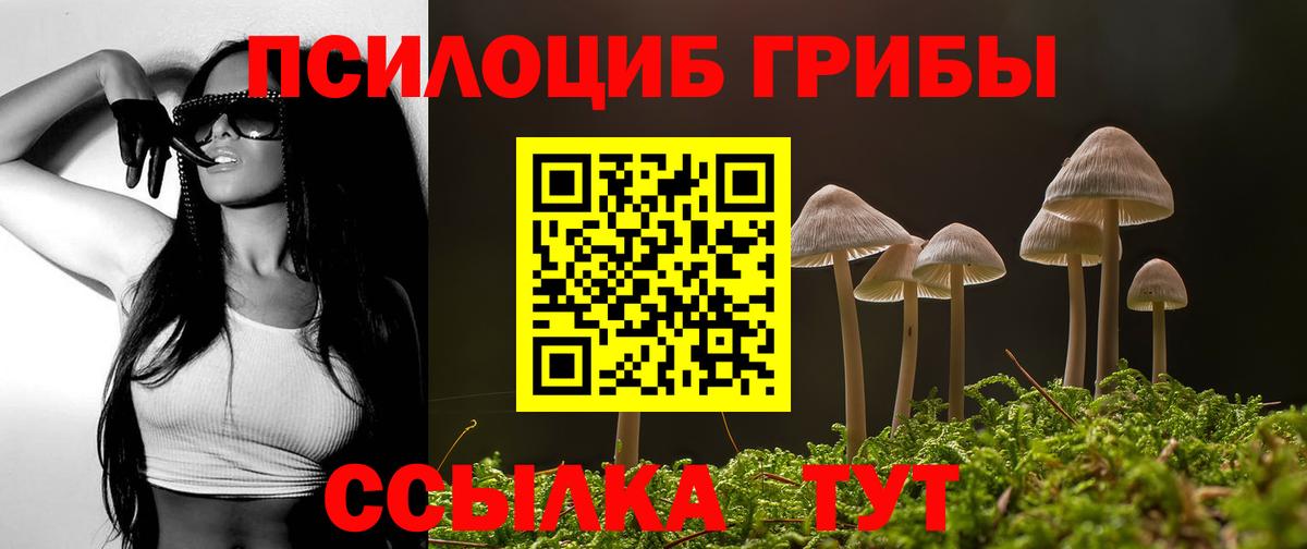 Галлюциногенные грибы Magic Shrooms  Вход с VPN  Димитровград 